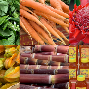 The Coconut Marketplace Farmers’ Market