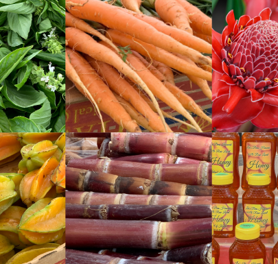 The Coconut Marketplace Farmers’ Market